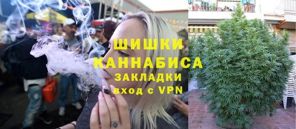 соль ск Каменногорск