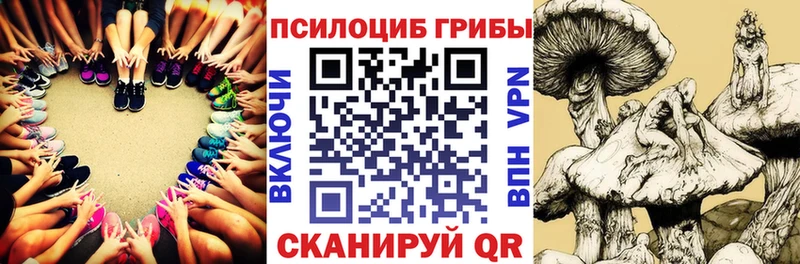 Псилоцибиновые грибы Psilocybe  Купить  Зерноград 